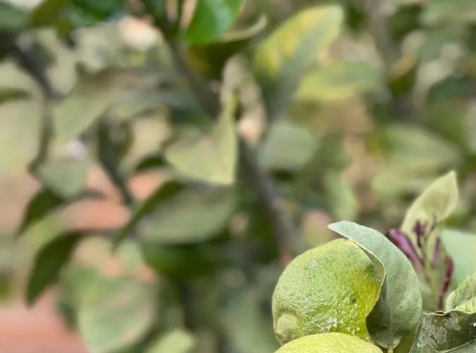 La Casita De La Era *