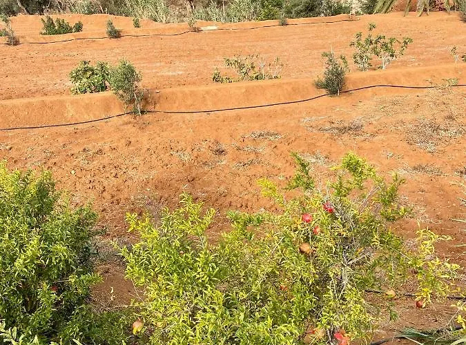 La Casita De La Era Apartament *