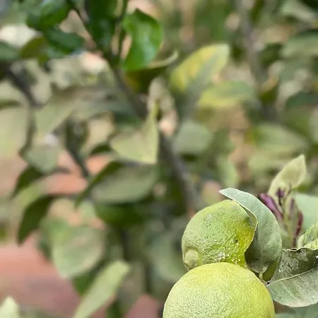 La Casita De La Era *